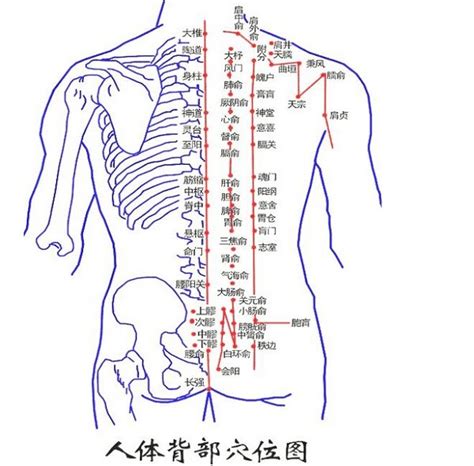 背部中間有痣